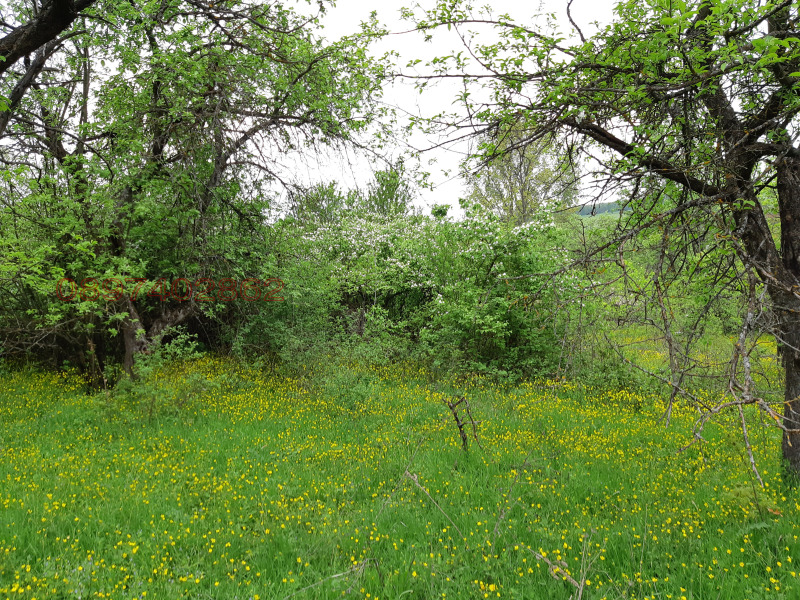 Продава КЪЩА, с. Звезда, област Търговище, снимка 5 - Къщи - 52779296