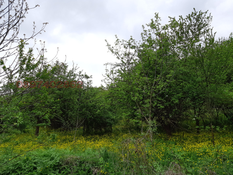 Продава КЪЩА, с. Звезда, област Търговище, снимка 7 - Къщи - 52779296