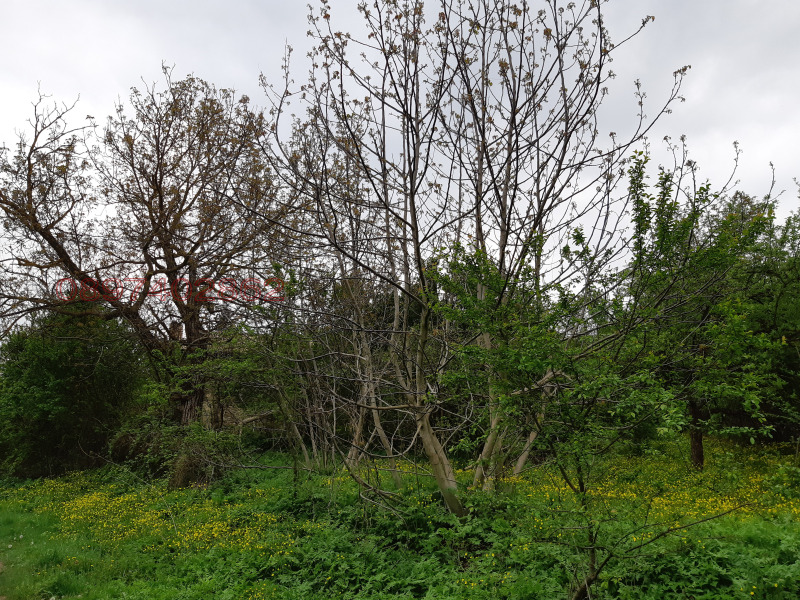 Продава КЪЩА, с. Звезда, област Търговище, снимка 8 - Къщи - 52779296