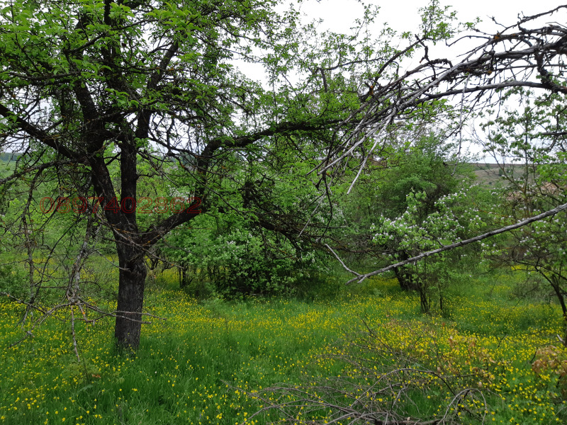 Продава КЪЩА, с. Звезда, област Търговище, снимка 4 - Къщи - 52779296