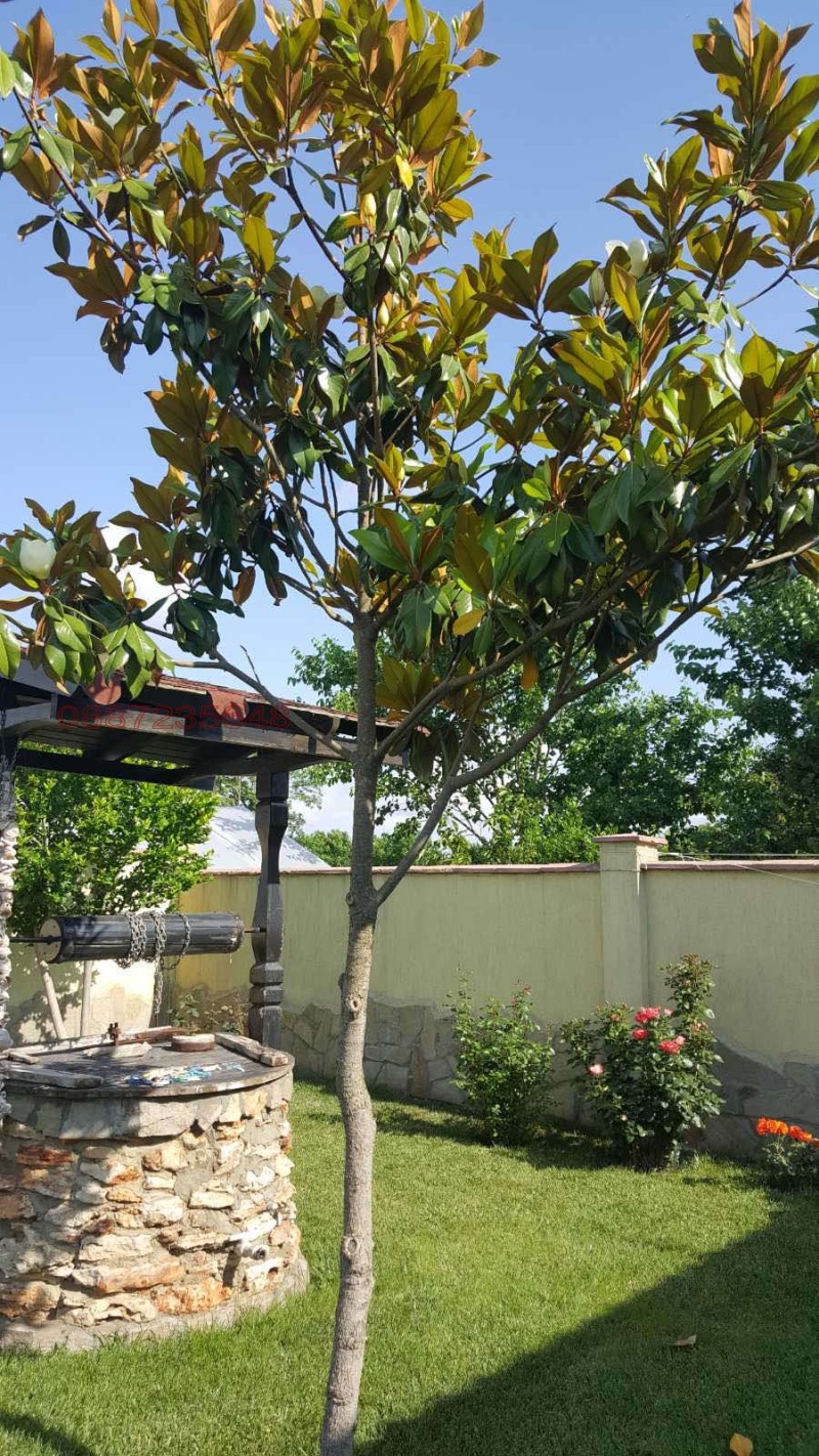 Zu verkaufen  Haus region Dobritsch , Ezerez , 150 qm | 91847944 - Bild [7]