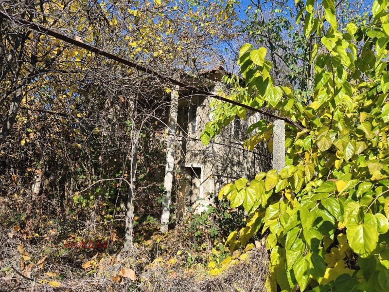 Продава КЪЩА, с. Драгор, област Пазарджик, снимка 2 - Къщи - 53020610