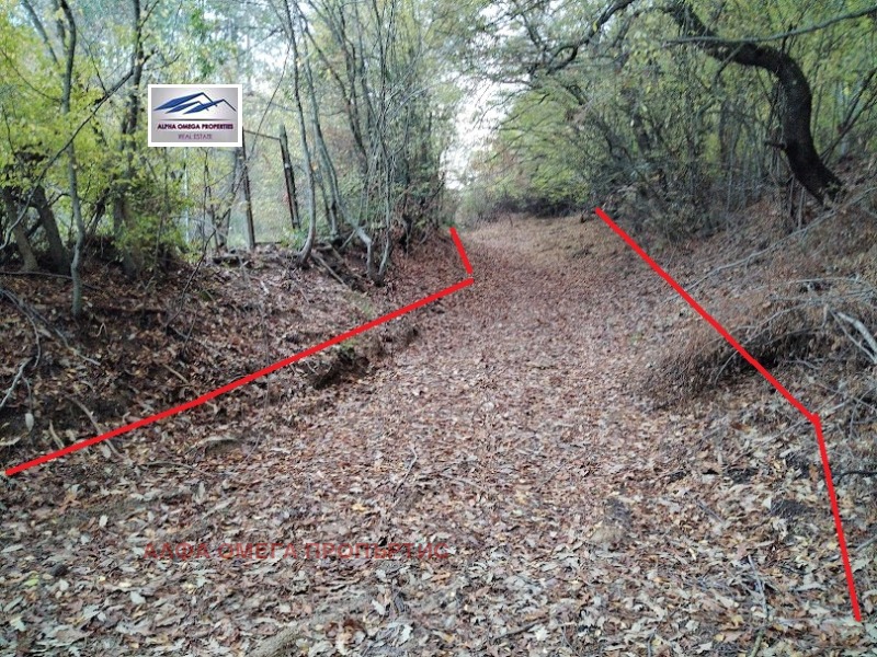 Продава ПАРЦЕЛ, гр. Варна, Виница, снимка 2 - Парцели - 49951639