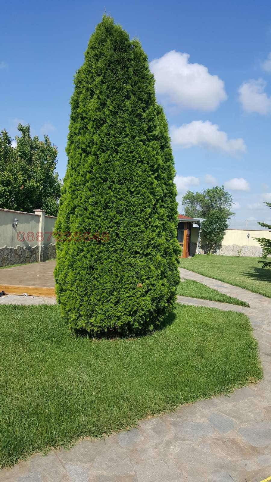 Продава КЪЩА, с. Езерец, област Добрич, снимка 8 - Къщи - 55641617