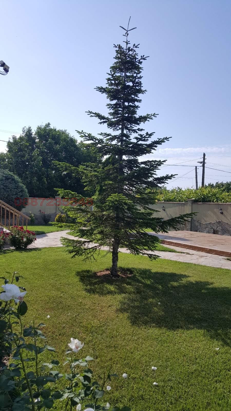 Продава КЪЩА, с. Езерец, област Добрич, снимка 6 - Къщи - 55641617