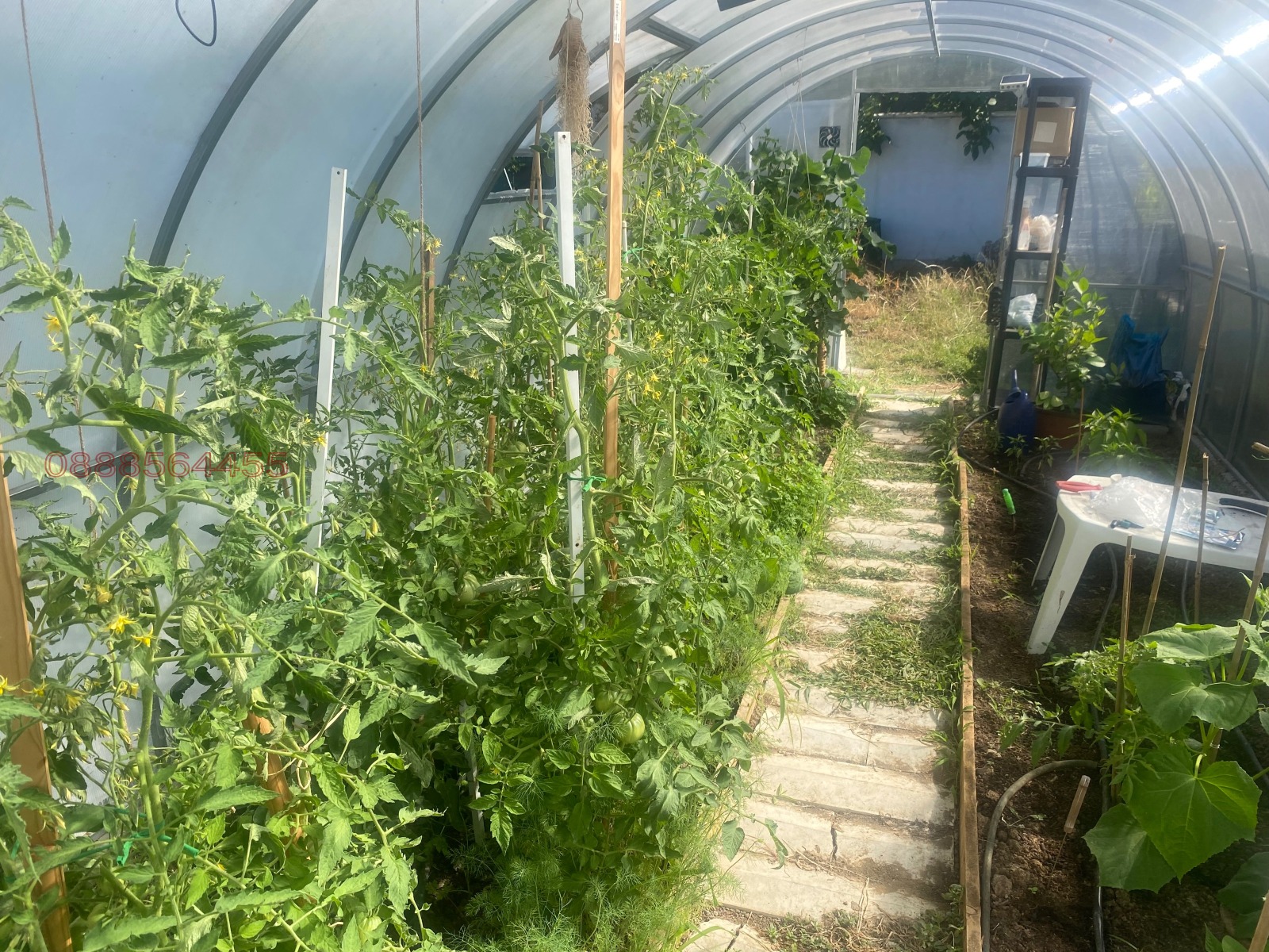 Продава КЪЩА, с. Варвара, област Бургас, снимка 10 - Къщи - 55015055