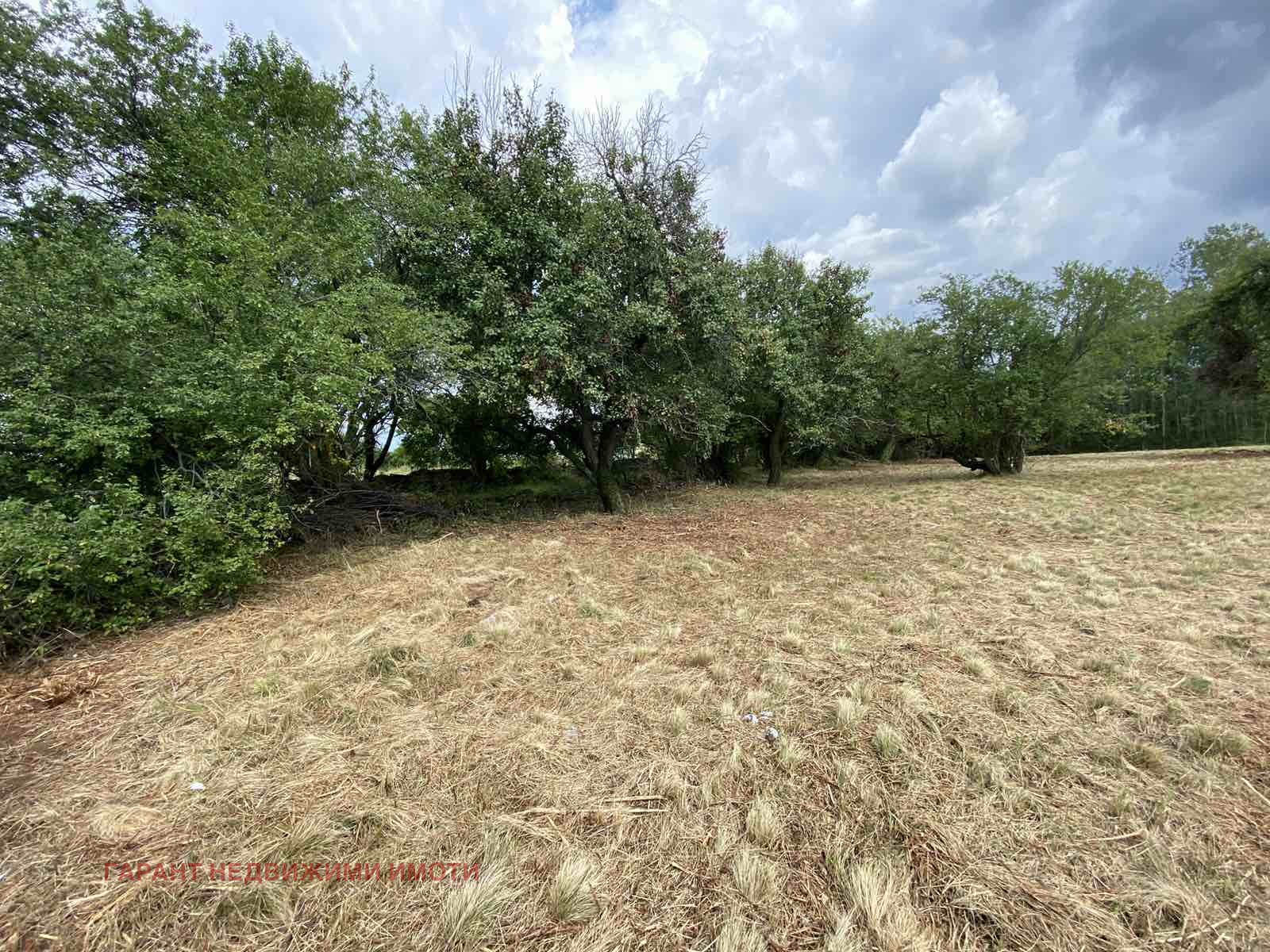 Продава ПАРЦЕЛ, с. Здравковец, област Габрово, снимка 2 - Парцели - 52981722