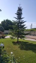 Продава КЪЩА, с. Езерец, област Добрич, снимка 6