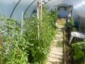 Продава КЪЩА, с. Варвара, област Бургас, снимка 5