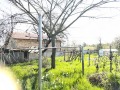 Продава КЪЩА, с. Сърнино, област Добрич, снимка 7