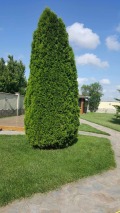 Продава  Къща област Добрич , с. Езерец , 150 кв.м | 57839368 - изображение [8]