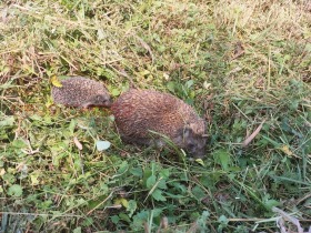 ������� ������ | Imot.bg � ����� ������ 8