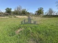 Продава КЪЩА, област Шумен, с. Каменяк • 48000 лв. • 65991890 — Holmes.bg
