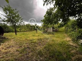 Hus Drjanovo, region Gabrovo 15