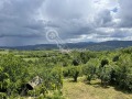 Продава КЪЩА, област Габрово, гр. Дряново • 22000 € • 61737761 — Holmes.bg