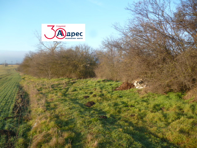 ������� ������ | Imot.bg � ����������� 4