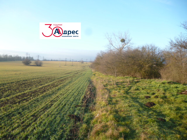 ������� ������ | Imot.bg � ����������� 5