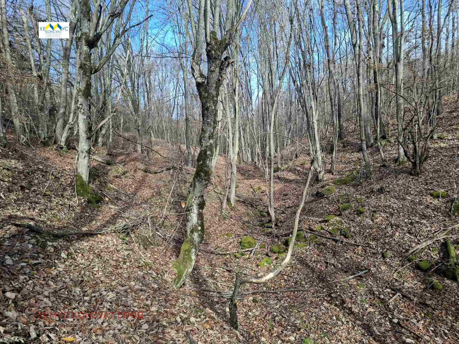 ������� ���������� ���� | Imot.bg � ����������� 6