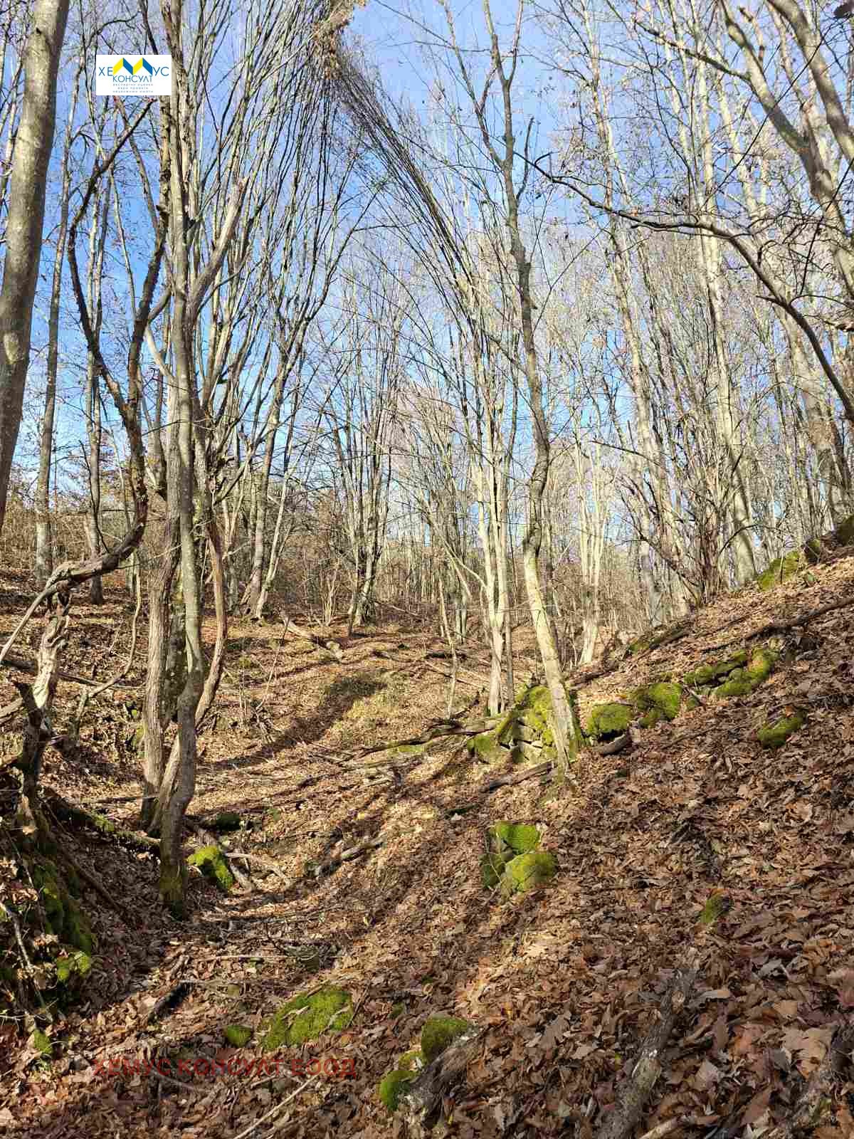 ������� ���������� ���� | Imot.bg � ����������� 8