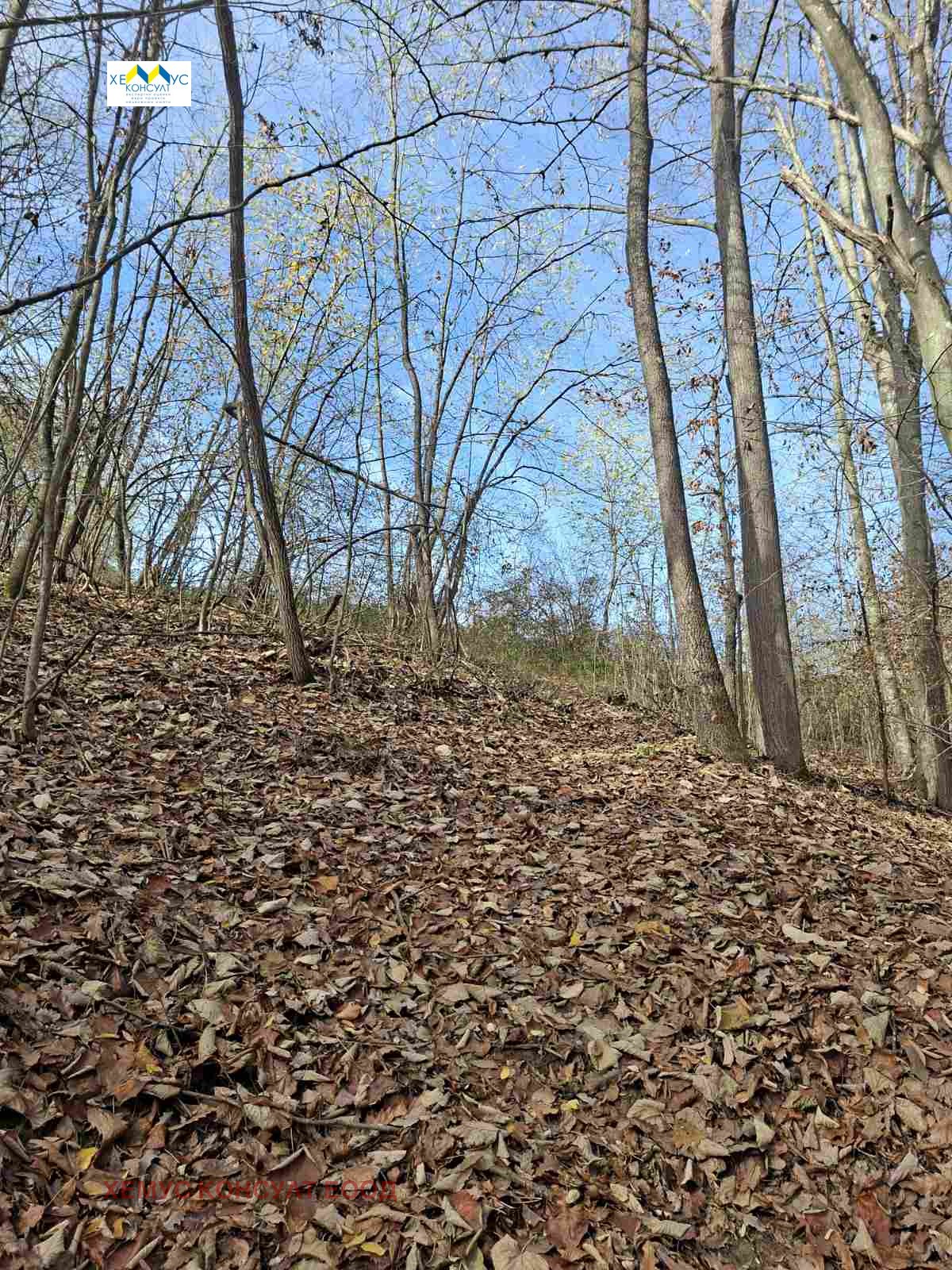 ������� ���������� ���� | Imot.bg � ����������� 7