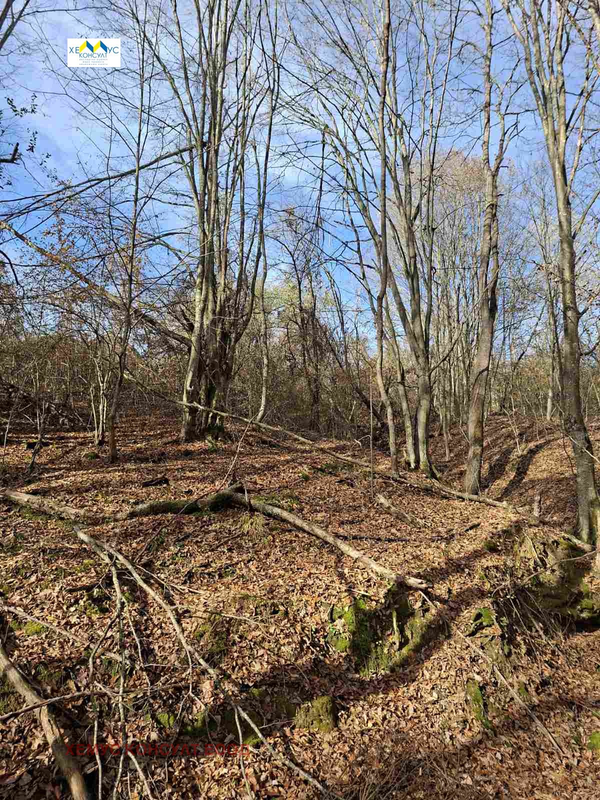 ������� ���������� ���� | Imot.bg � ����������� 10