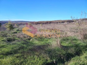 ПАРЦЕЛ, 8 000 m2