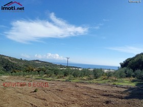 ����� ������� ������,������, ������