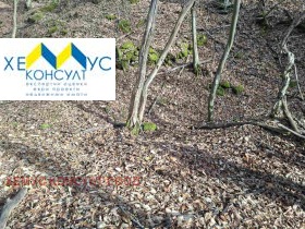 ������� ���������� ���� | Imot.bg � ����� ������ 5