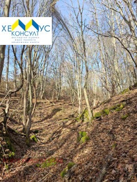 ������� ���������� ���� | Imot.bg � ����� ������ 8