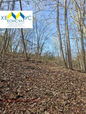 ������� ���������� ���� | Imot.bg � ����� ������ 7