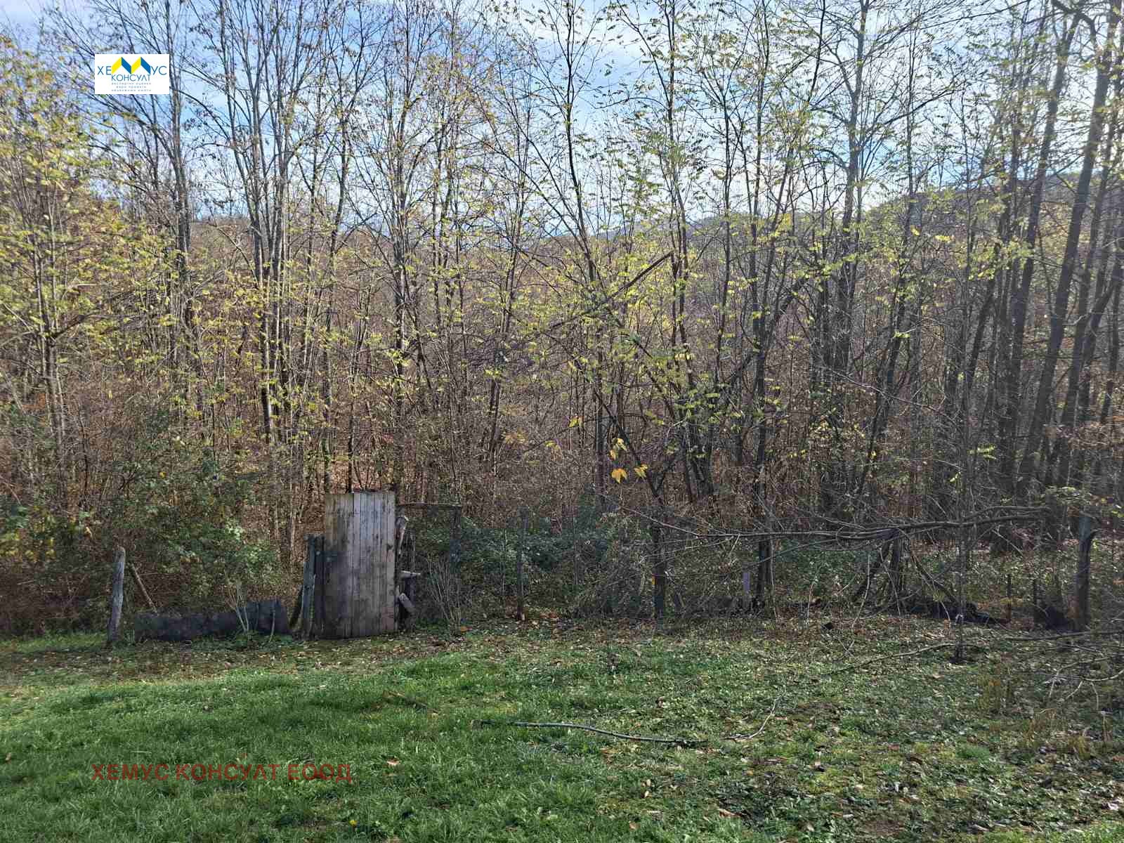 Продава ЗЕМЕДЕЛСКА ЗЕМЯ, с. Велчево, област Ловеч, снимка 2 - Земеделска земя - 53724306