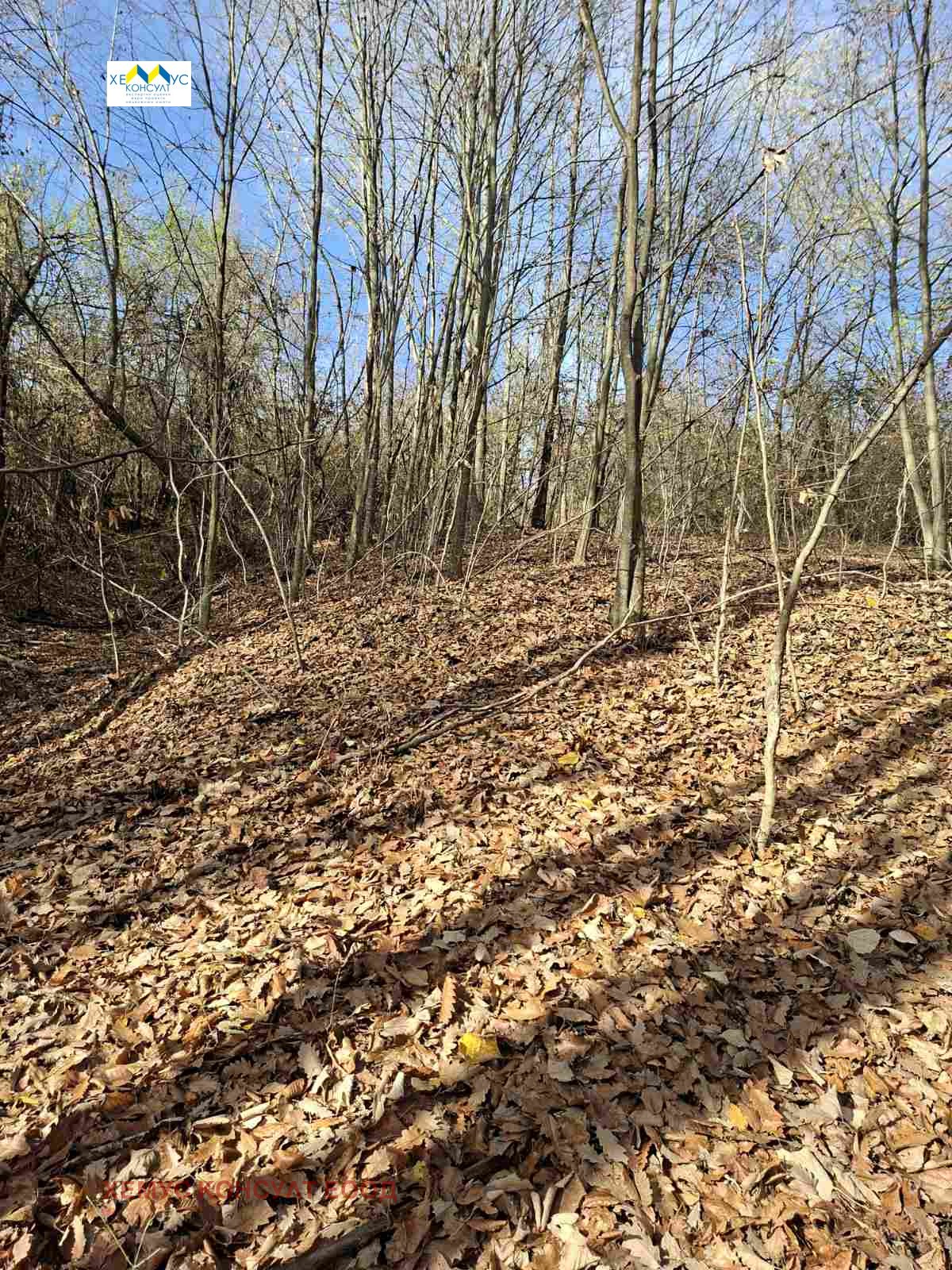 Продава ЗЕМЕДЕЛСКА ЗЕМЯ, с. Велчево, област Ловеч, снимка 7 - Земеделска земя - 53724306