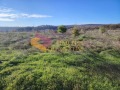 Продава ПАРЦЕЛ, гр. Игнатиево, област Варна, снимка 5