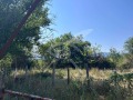 Продава ЕТАЖ ОТ КЪЩА, област Пловдив, с. Яврово • 60000 € • 20369657 — Holmes.bg