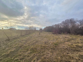 ����� ������� ������,��. ���� �����, ������ �����