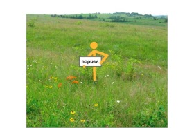 ������ ������� ������