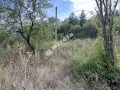Продава ПАРЦЕЛ, с. Пещера, област Перник, снимка 3