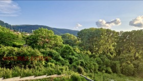 МНОГОСТАЕН, 146 m2