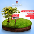 Продава ПАРЦЕЛ, град Варна, м-т Планова • 150000 € • 72113840 — Holmes.bg