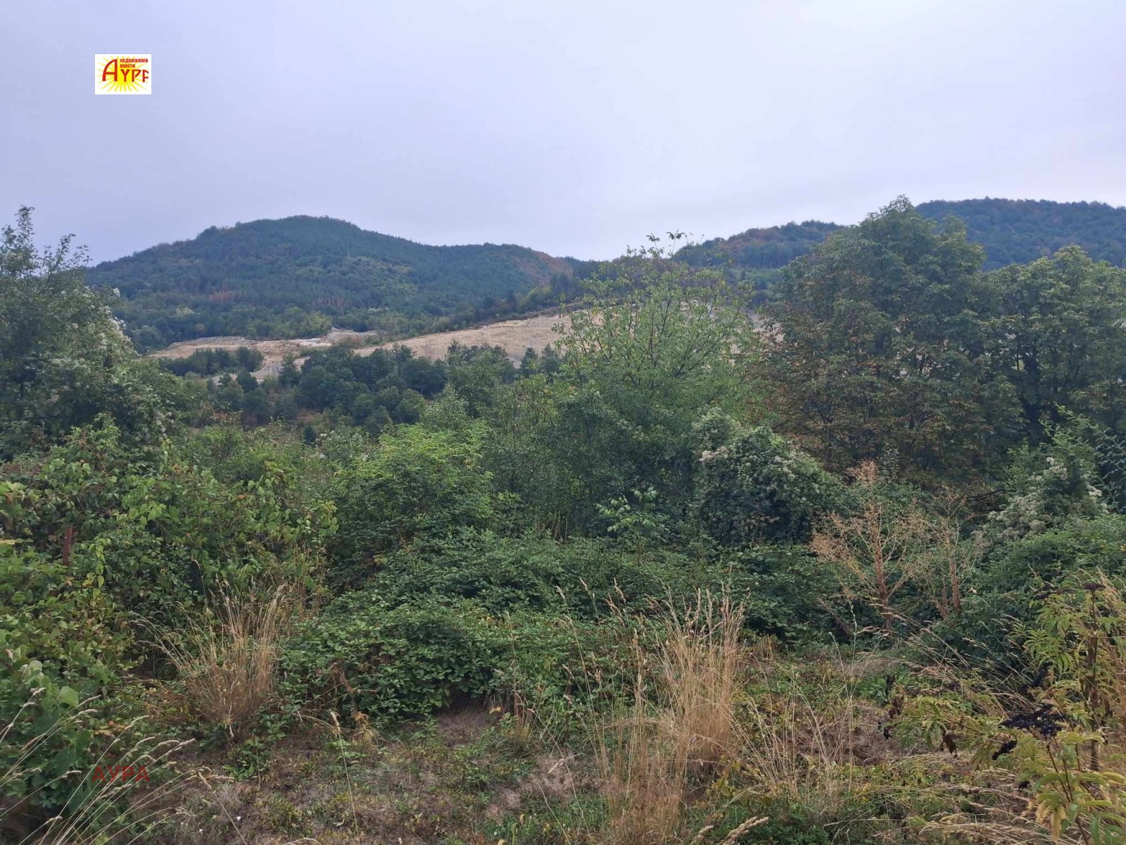 ������� ���� | Imot.bg � ����������� 14