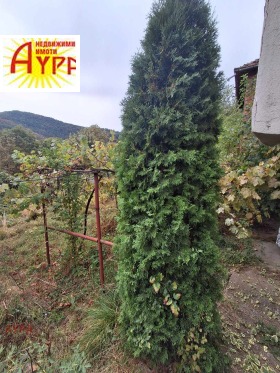 ������� ���� | Imot.bg � ����� ������ 4