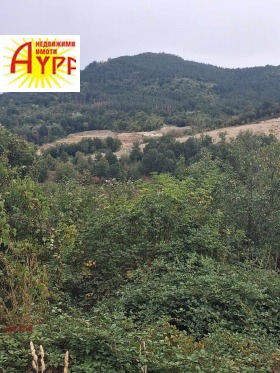 ������� ���� | Imot.bg � ����� ������ 11