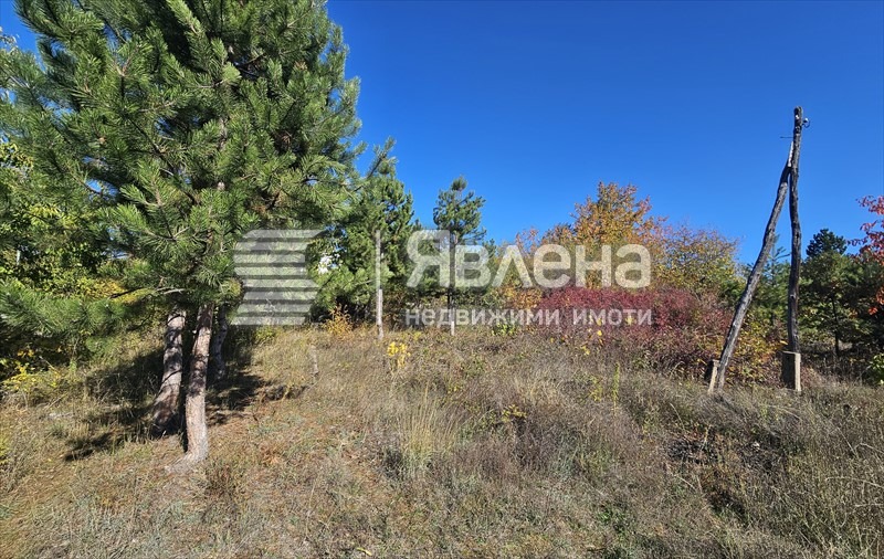 Продава ПАРЦЕЛ, гр. София, гр. Нови Искър, снимка 6 - Парцели - 55905567