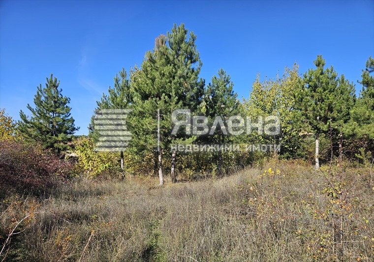 Продава ПАРЦЕЛ, гр. София, гр. Нови Искър, снимка 7 - Парцели - 55905567