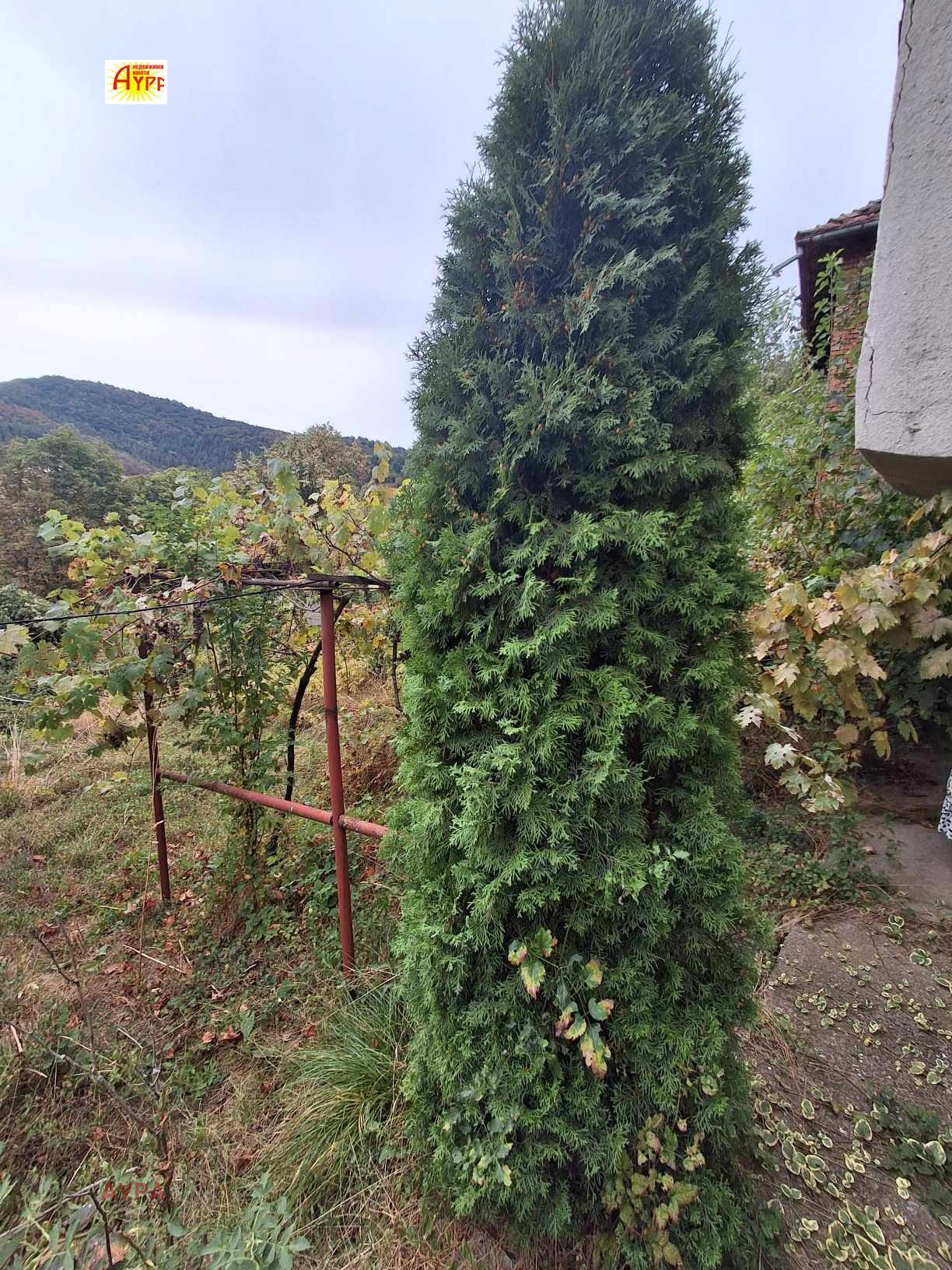 Продава КЪЩА, с. Лютидол, област Враца, снимка 4 - Къщи - 56224338
