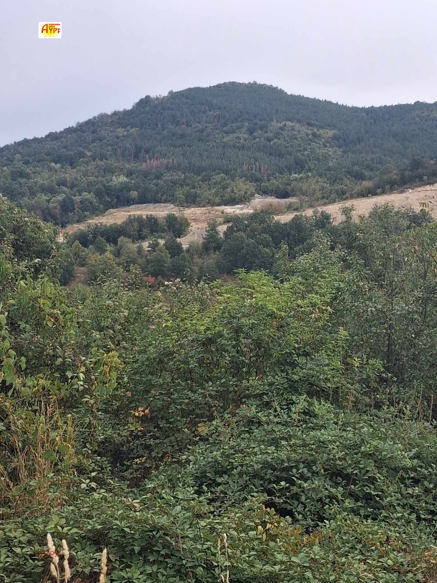 Продава КЪЩА, с. Лютидол, област Враца, снимка 11 - Къщи - 56224338