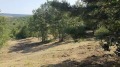 Продава ПАРЦЕЛ, област Перник, яз. Пчелина • 7200 лв. • 54793092 — Holmes.bg