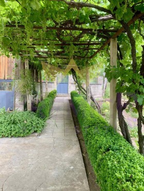 ����� ������� ����,�. ���������, ������ �����