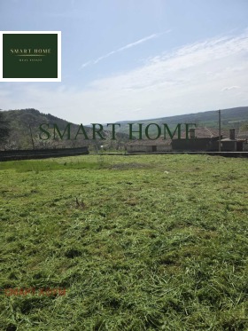 ������ ������� ������