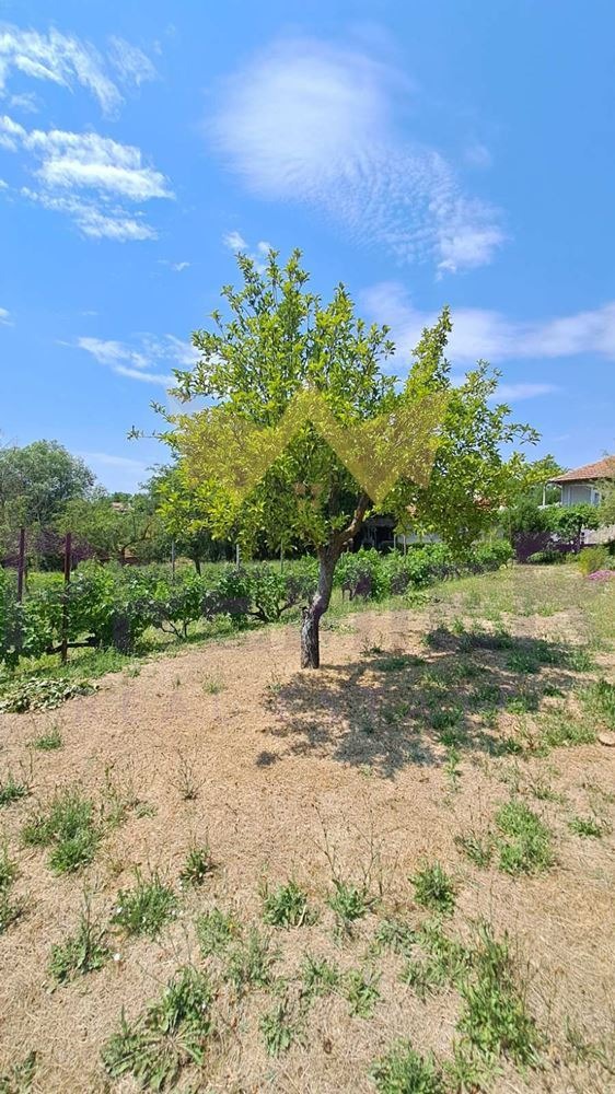 Продава КЪЩА, с. Дъбравино, област Варна, снимка 5 - Къщи - 54131677